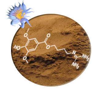 Kratom and Blue Lotus Extract 2.5:1 | Powder