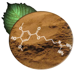 Kratom Extract 3:1 | Green | Powder