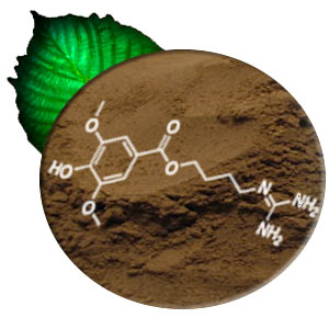Kratomgenie.com offers the best kratom extracts for 